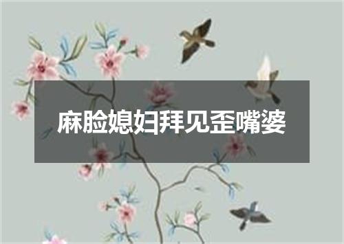 麻脸媳妇拜见歪嘴婆