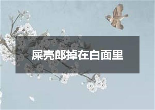 屎壳郎掉在白面里