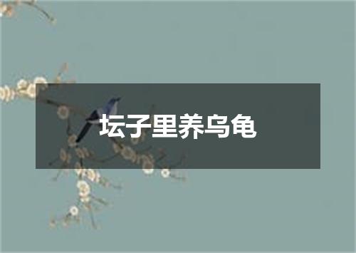 坛子里养乌龟