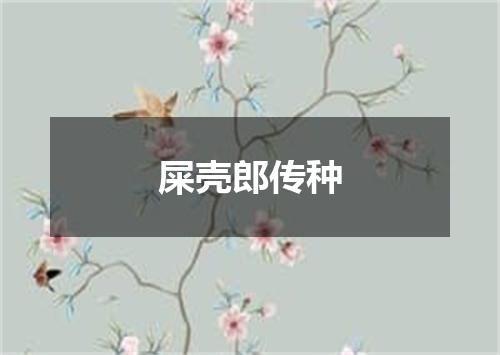 屎壳郎传种