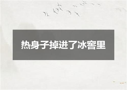 热身子掉进了冰窖里