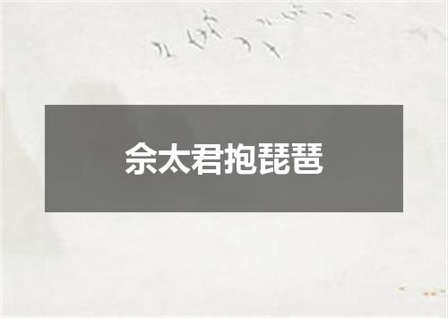 佘太君抱琵琶