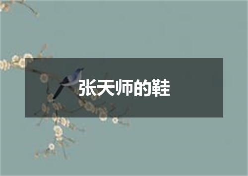 张天师的鞋