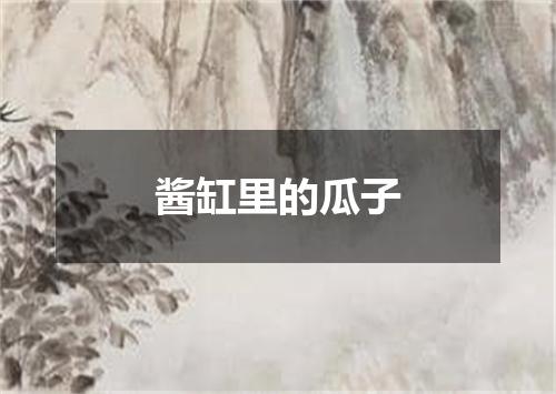 酱缸里的瓜子