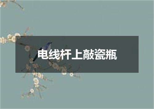 电线杆上敲瓷瓶