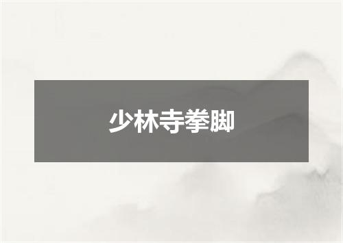 少林寺拳脚