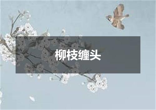 柳枝缠头