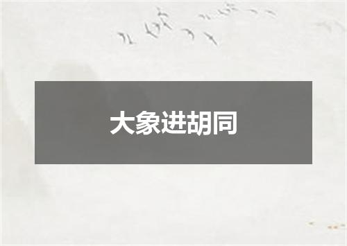 大象进胡同