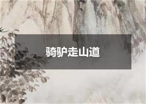 骑驴走山道
