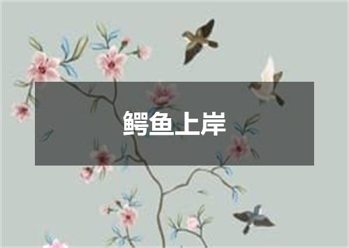 鳄鱼上岸
