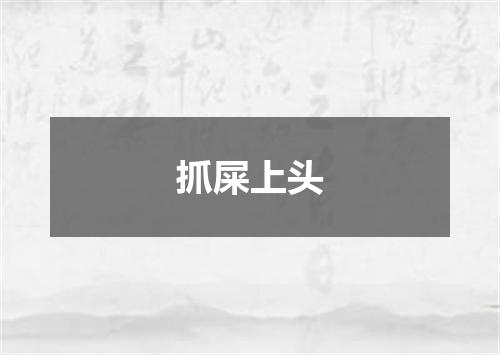 抓屎上头