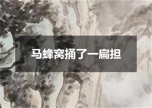 马蜂窝捅了一扁担