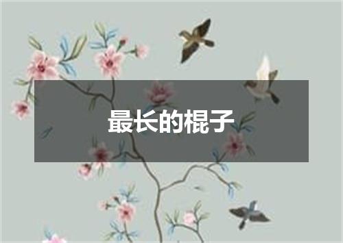 最长的棍子
