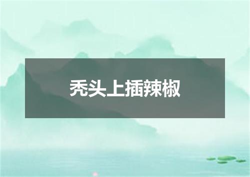 秃头上插辣椒