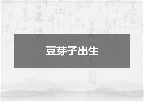 豆芽子出生