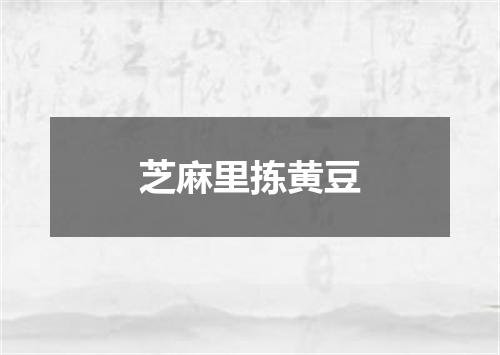 芝麻里拣黄豆