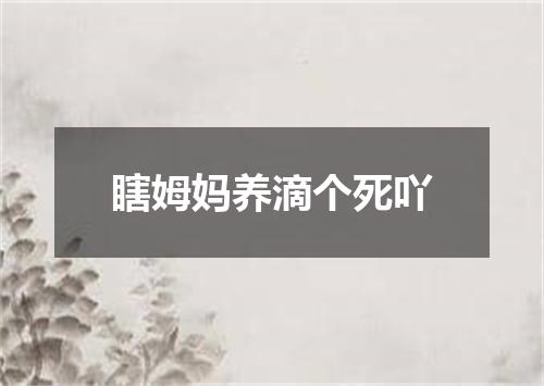 瞎姆妈养滴个死吖