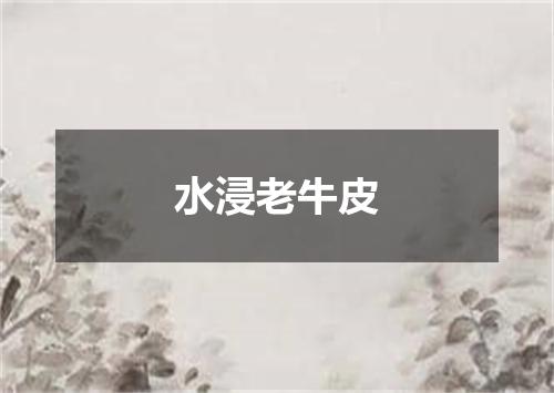 水浸老牛皮