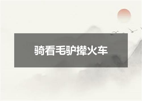 骑看毛驴撵火车