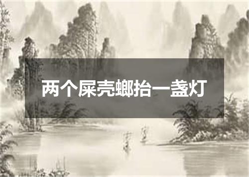 两个屎壳螂抬一盏灯