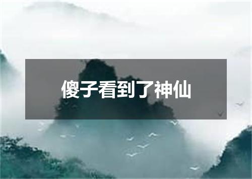 傻子看到了神仙