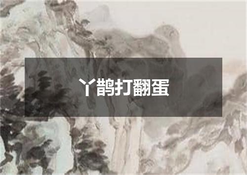 丫鹊打翻蛋