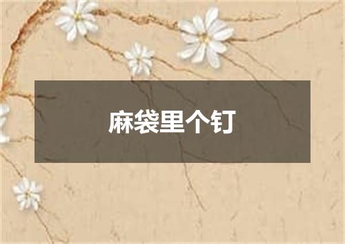 麻袋里个钉