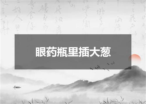 眼药瓶里插大葱