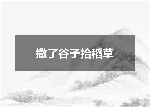 撒了谷子拾稻草
