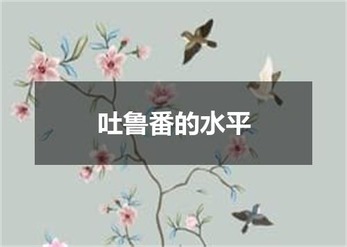吐鲁番的水平