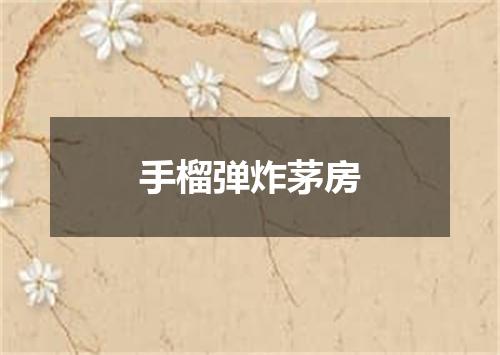 手榴弹炸茅房
