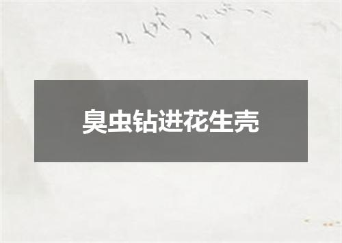 臭虫钻进花生壳