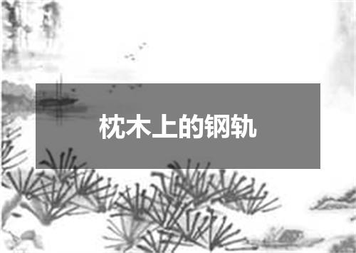 枕木上的钢轨