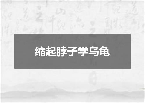 缩起脖子学乌龟