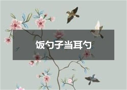 饭勺子当耳勺