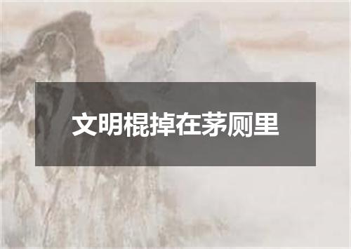 文明棍掉在茅厕里
