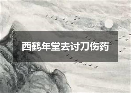 西鹤年堂去讨刀伤药