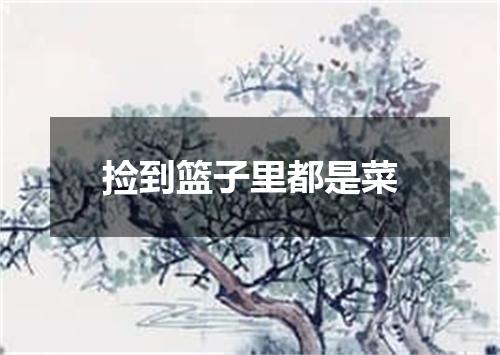 捡到篮子里都是菜