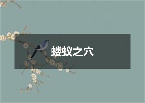 蝼蚁之穴