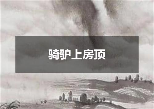 骑驴上房顶