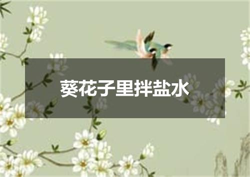 葵花子里拌盐水