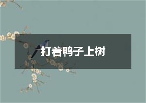 打着鸭子上树