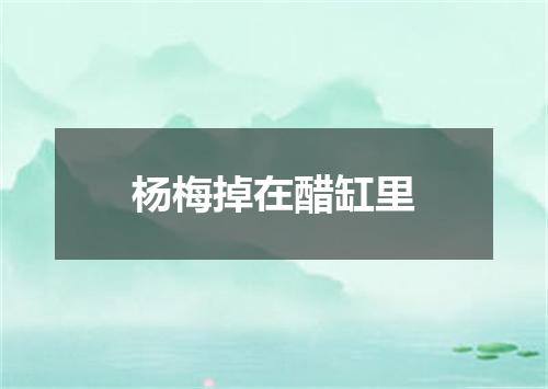 杨梅掉在醋缸里