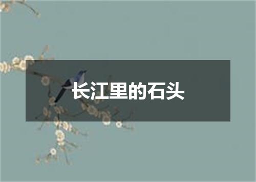 长江里的石头