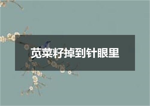 苋菜籽掉到针眼里