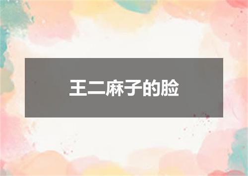 王二麻子的脸