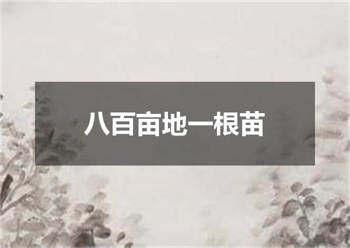 八百亩地一根苗