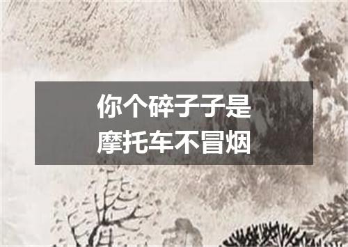 你个碎子子是摩托车不冒烟