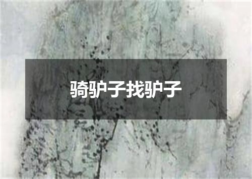 骑驴子找驴子