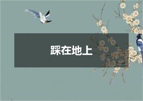 踩在地上